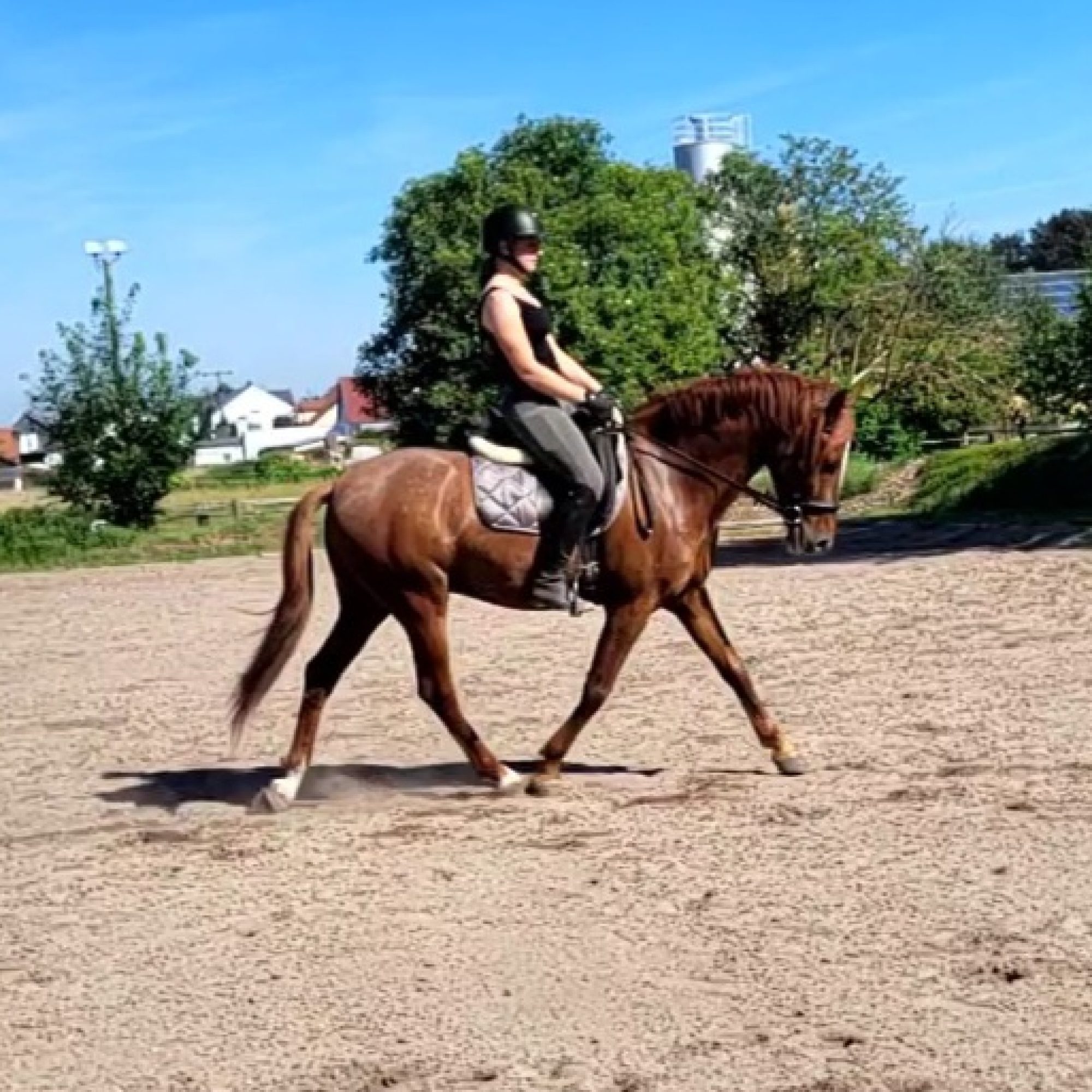 VideoCapture_20260618-113326