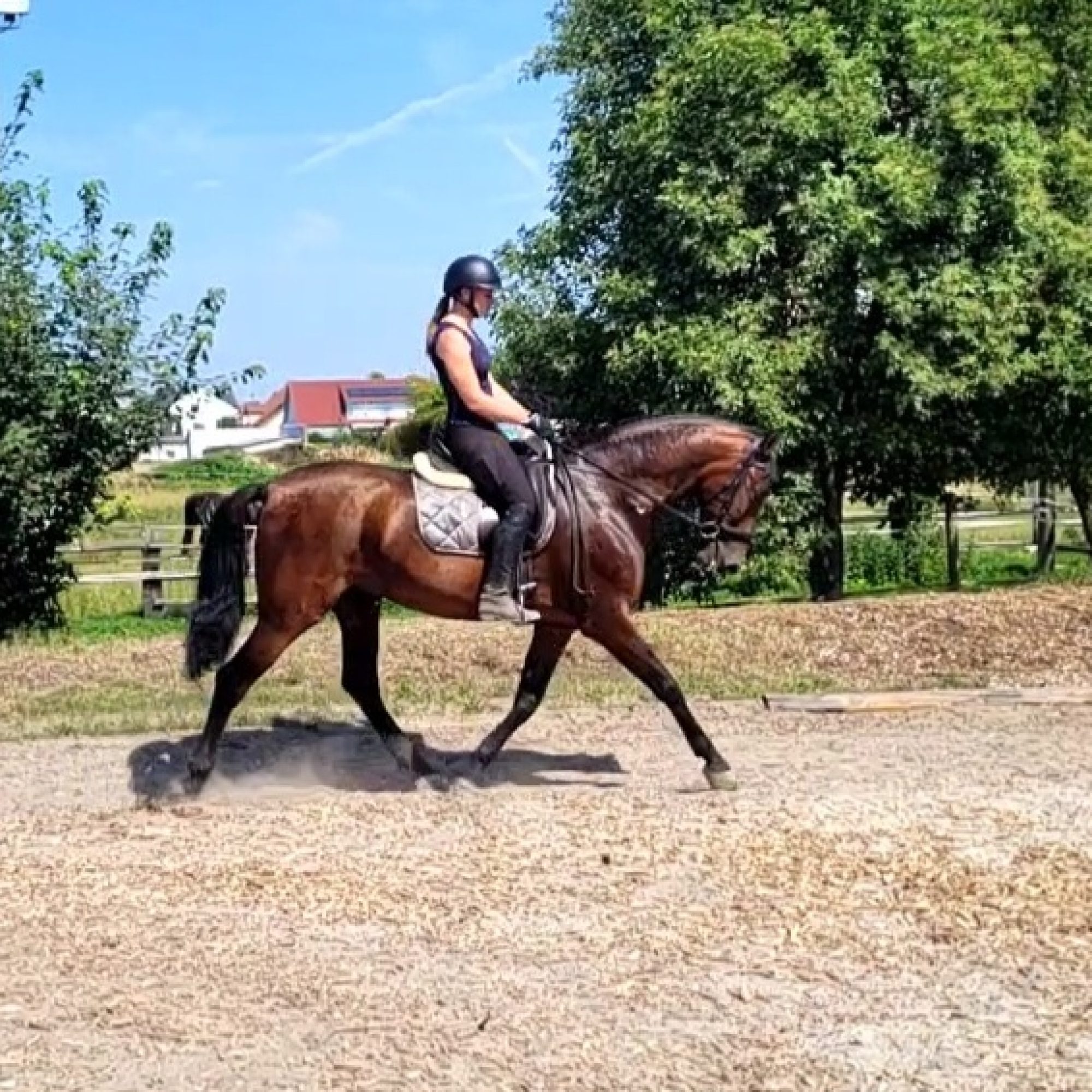VideoCapture_20260623-114452