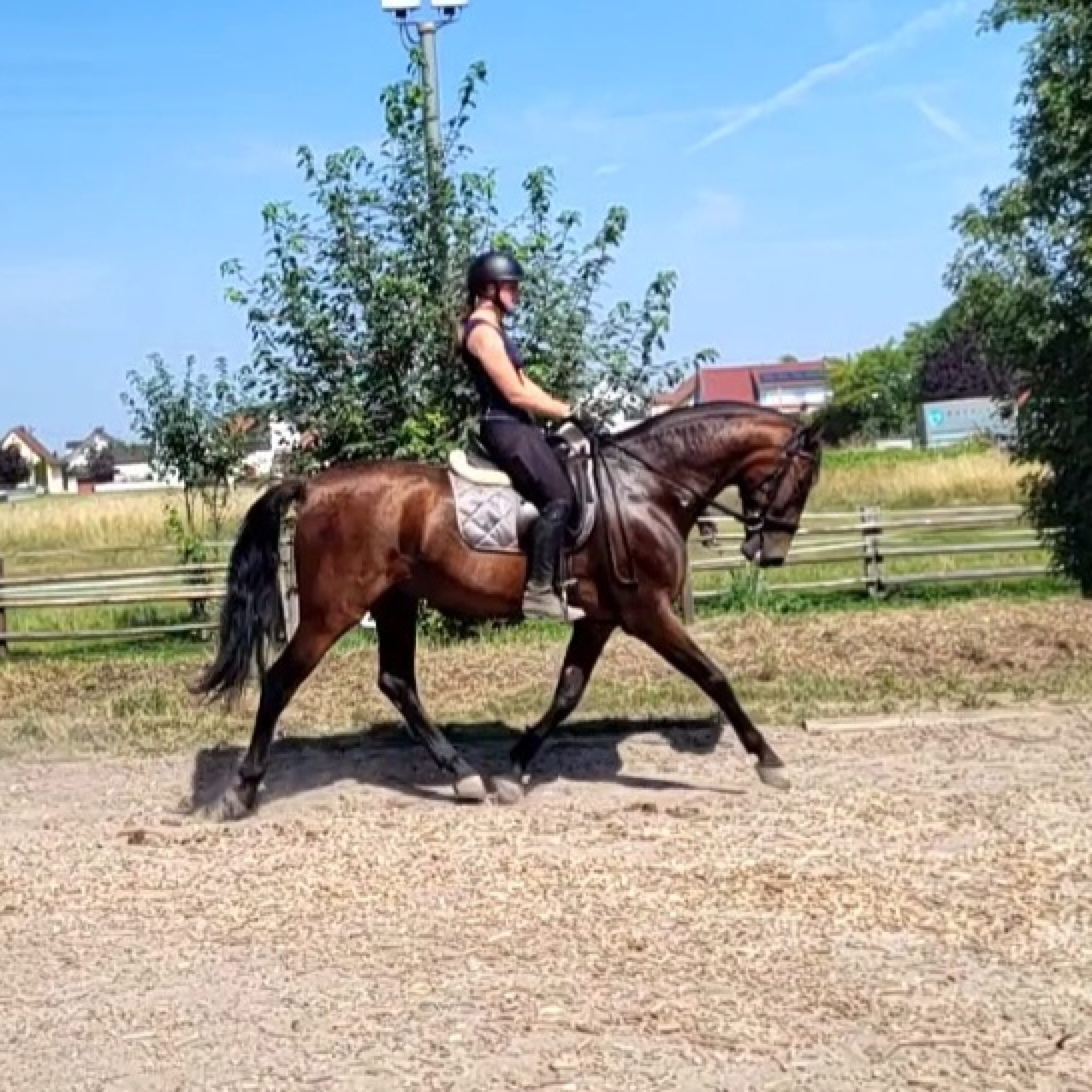 VideoCapture_20260623-115247