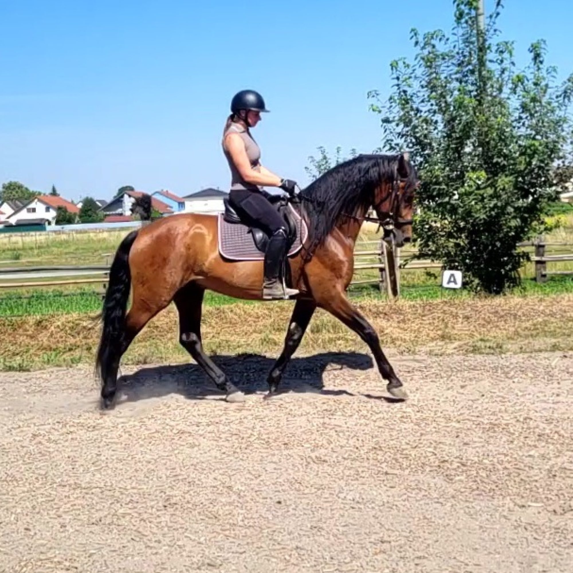 VideoCapture_20260626-123019