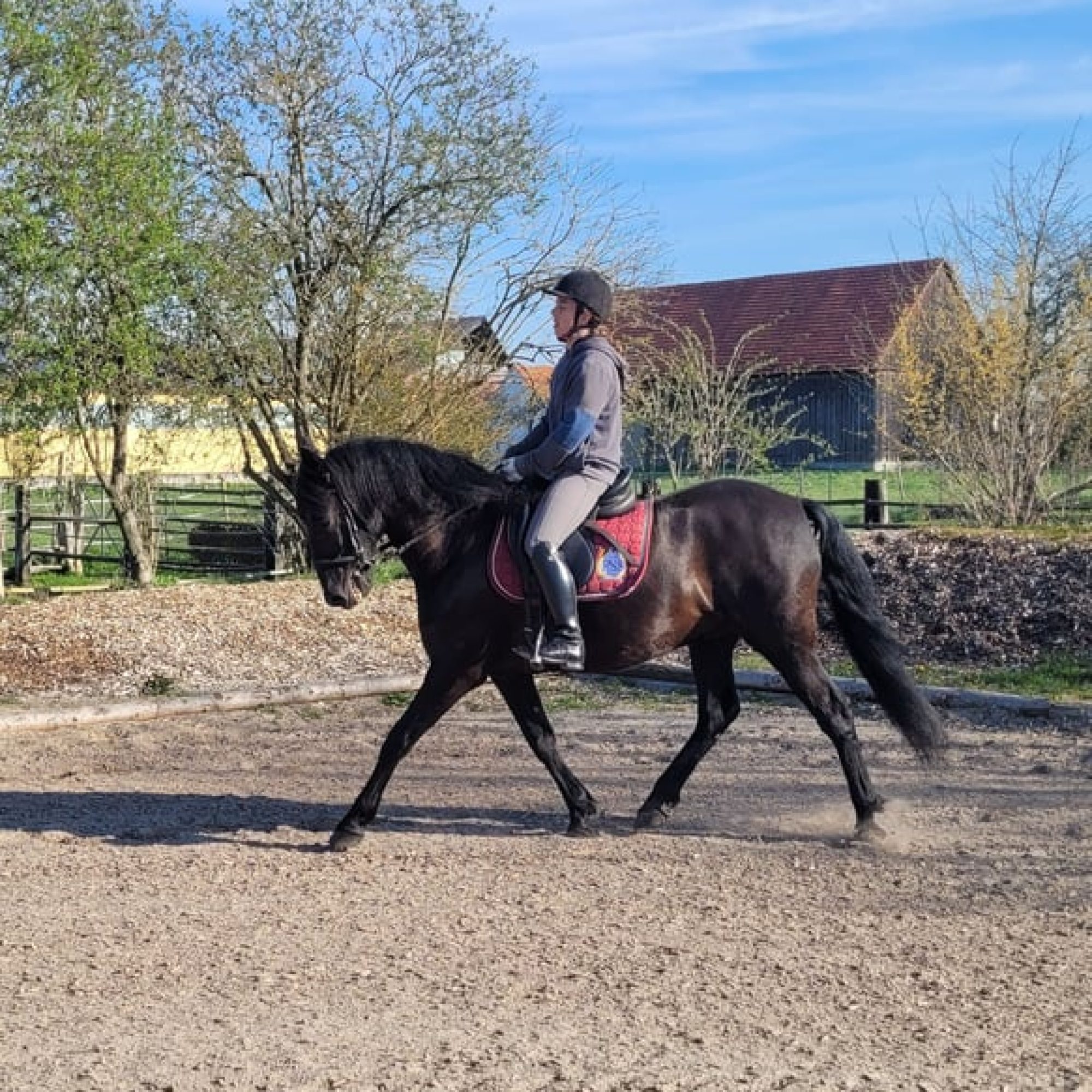 aramis