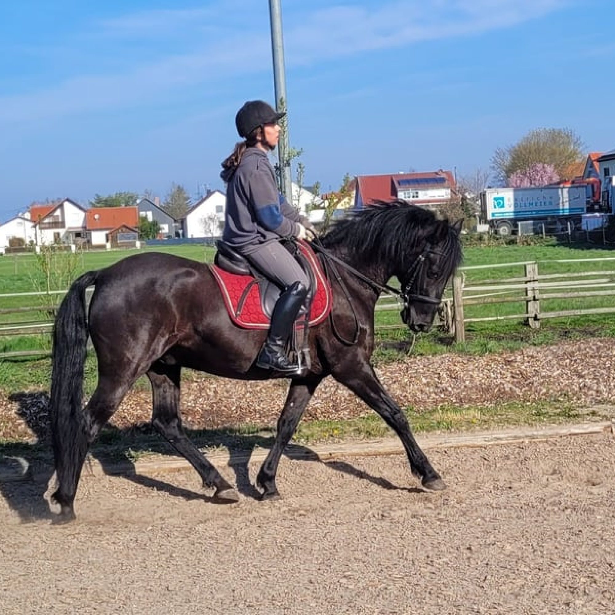 aramis3